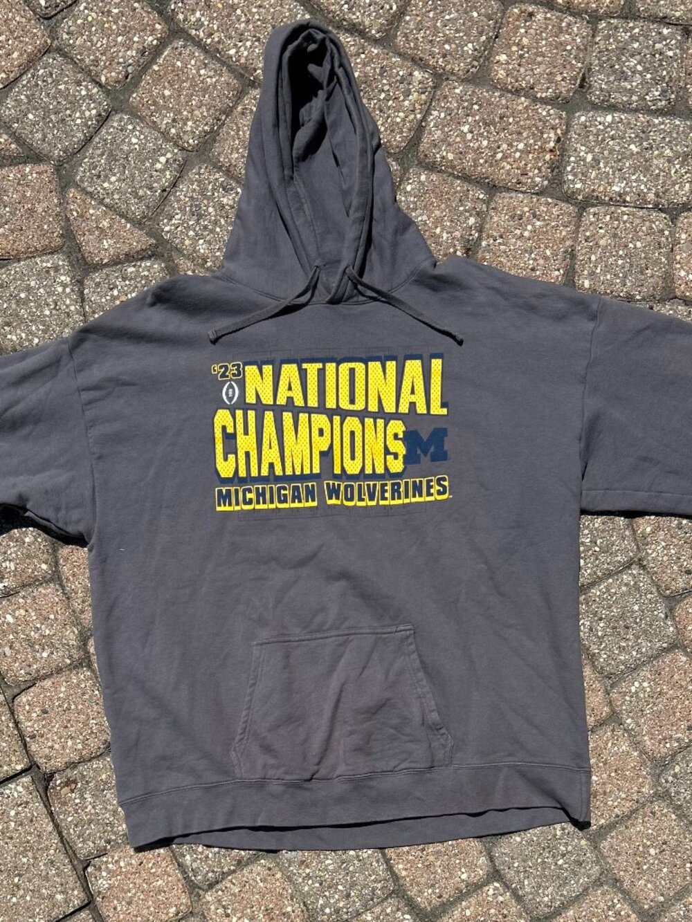 University of Michigan '23 National Champions Hanes Hoodie Men Sz XL
